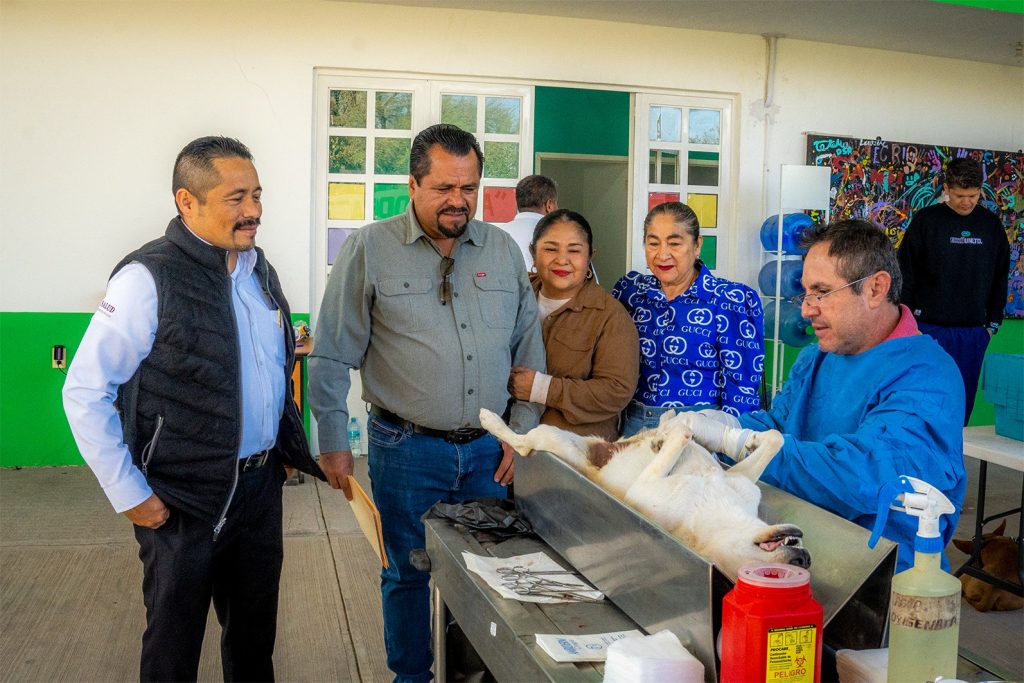 Realizan jornada de esterilización canina y felina en la cabecera municipal